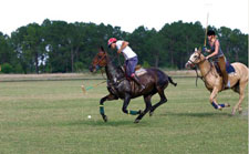 Argentina-Buenos Aires-Pampas Polo and Trail